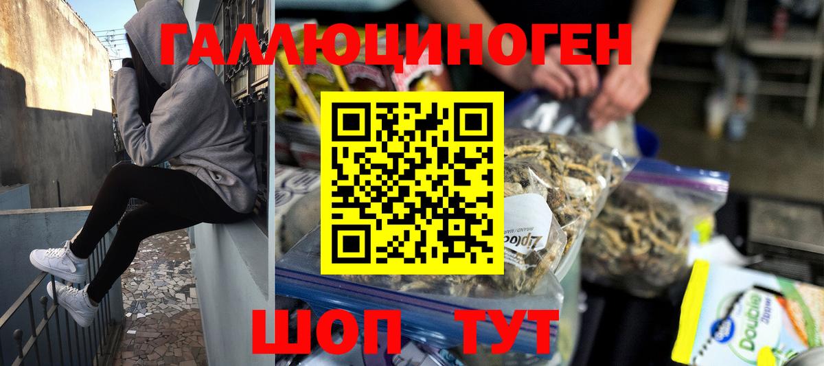Псилоцибиновые грибы GOLDEN TEACHER  Вход с VPN  Свободный 